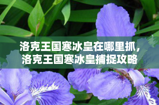 洛克王国寒冰皇在哪里抓,洛克王国寒冰皇捕捉攻略 洛克王国寒冰皇在哪里抓,洛克王国寒冰皇捕捉攻略