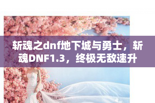斩魂之dnf地下城与勇士,斩魂DNF1.3,终极无敌速升版,打造你的梦幻冒险之旅 斩魂之dnf地下城与勇士,斩魂DNF1.3,终极无敌速升版,打造你的梦幻冒险之旅