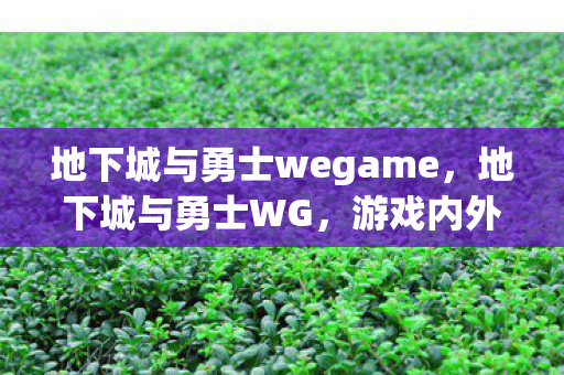 地下城与勇士wegame，地下城与勇士WG，游戏内外的不平等竞技