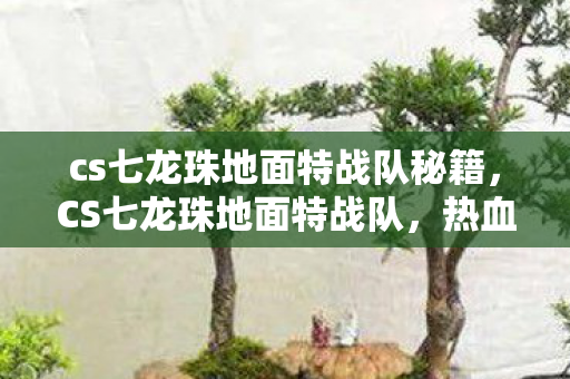 cs七龙珠地面特战队秘籍,CS七龙珠地面特战队,热血与荣耀的战场 cs七龙珠地面特战队秘籍,CS七龙珠地面特战队,热血与荣耀的战场