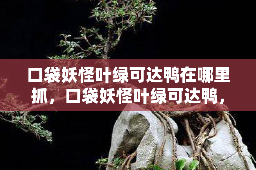 口袋妖怪叶绿可达鸭在哪里抓,口袋妖怪叶绿可达鸭,重温经典,探索未知 口袋妖怪叶绿可达鸭在哪里抓,口袋妖怪叶绿可达鸭,重温经典,探索未知