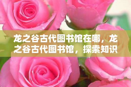 龙之谷古代图书馆在哪，龙之谷古代图书馆，探索知识与魔法的神秘殿堂