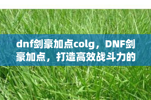 dnf剑豪加点colg,DNF剑豪加点,打造高效战斗力的关键 dnf剑豪加点colg,DNF剑豪加点,打造高效战斗力的关键