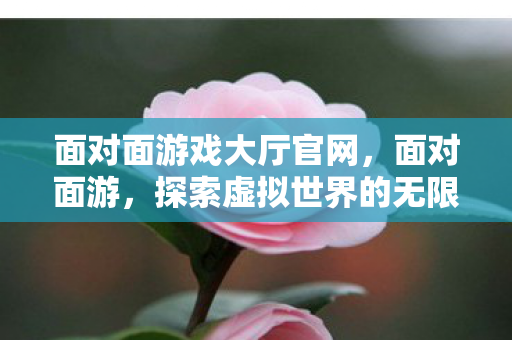 面对面游戏大厅官网，面对面游，探索虚拟世界的无限可能