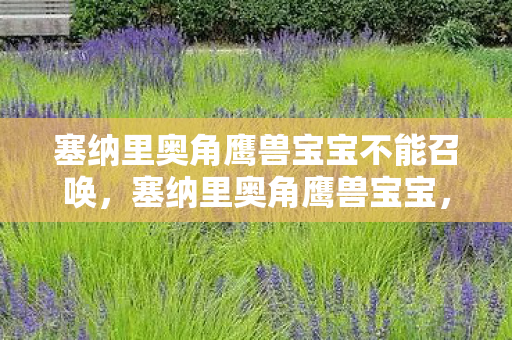 塞纳里奥角鹰兽宝宝不能召唤,塞纳里奥角鹰兽宝宝,萌宠背后的奇幻之旅 塞纳里奥角鹰兽宝宝不能召唤,塞纳里奥角鹰兽宝宝,萌宠背后的奇幻之旅