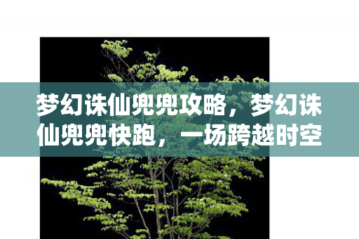 梦幻诛仙兜兜攻略,梦幻诛仙兜兜快跑,一场跨越时空的冒险之旅 梦幻诛仙兜兜攻略,梦幻诛仙兜兜快跑,一场跨越时空的冒险之旅