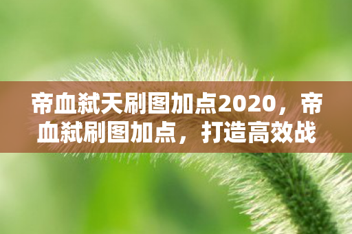 帝血弑天刷图加点2020,帝血弑刷图加点,打造高效战斗力的关键 帝血弑天刷图加点2020,帝血弑刷图加点,打造高效战斗力的关键