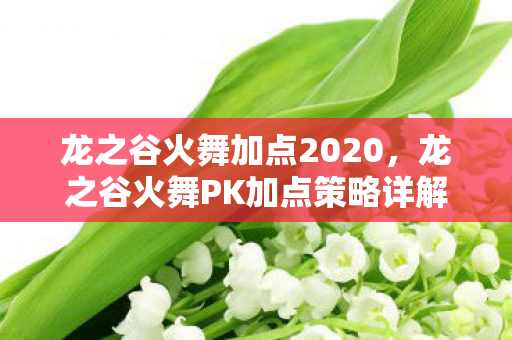 龙之谷火舞加点2020,龙之谷火舞PK加点策略详解 龙之谷火舞加点2020,龙之谷火舞PK加点策略详解