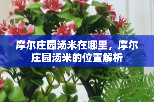 摩尔庄园汤米在哪里,摩尔庄园汤米的位置解析 摩尔庄园汤米在哪里,摩尔庄园汤米的位置解析