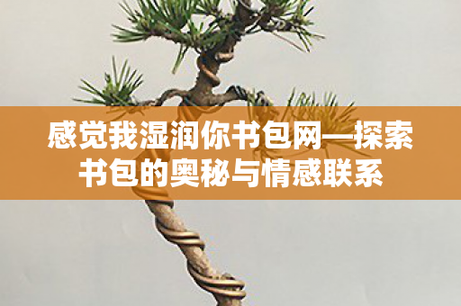 感觉我湿润你书包网—探索书包的奥秘与情感联系 感觉我湿润你书包网—探索书包的奥秘与情感联系
