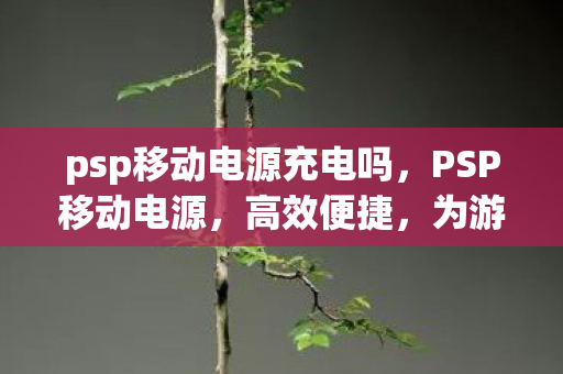 psp移动电源充电吗,PSP移动电源,高效便捷,为游戏生活充电 psp移动电源充电吗,PSP移动电源,高效便捷,为游戏生活充电