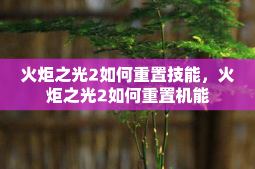 火炬之光2如何重置技能,火炬之光2如何重置机能 火炬之光2如何重置技能,火炬之光2如何重置机能
