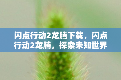 闪点行动2龙腾下载,闪点行动2龙腾,探索未知世界的奇幻之旅 闪点行动2龙腾下载,闪点行动2龙腾,探索未知世界的奇幻之旅