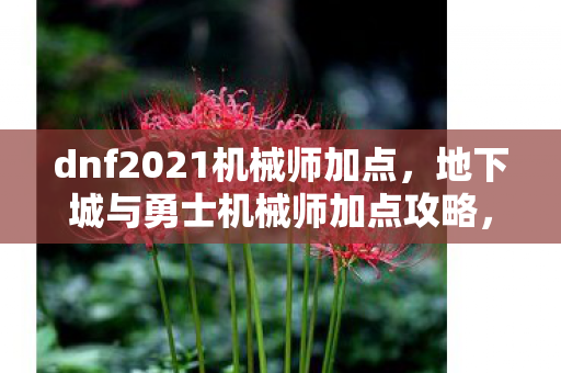 dnf2021机械师加点,地下城与勇士机械师加点攻略,打造高效机械师 dnf2021机械师加点,地下城与勇士机械师加点攻略,打造高效机械师