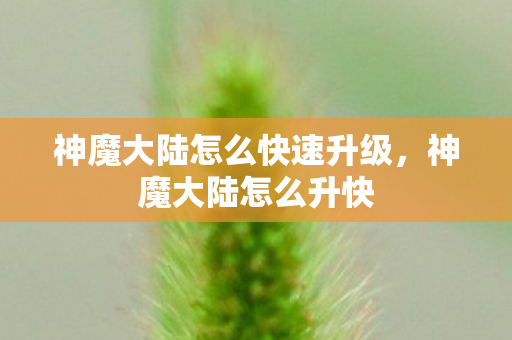 神魔大陆怎么快速升级,神魔大陆怎么升快 神魔大陆怎么快速升级,神魔大陆怎么升快