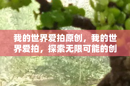 我的世界爱拍原创,我的世界爱拍,探索无限可能的创意平台 我的世界爱拍原创,我的世界爱拍,探索无限可能的创意平台