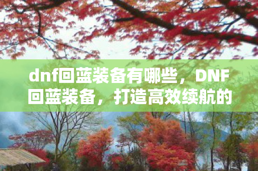 dnf回蓝装备有哪些,DNF回蓝装备,打造高效续航的必备神器 dnf回蓝装备有哪些,DNF回蓝装备,打造高效续航的必备神器