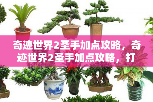 奇迹世界2圣手加点攻略,奇迹世界2圣手加点攻略,打造最强圣手职业 奇迹世界2圣手加点攻略,奇迹世界2圣手加点攻略,打造最强圣手职业