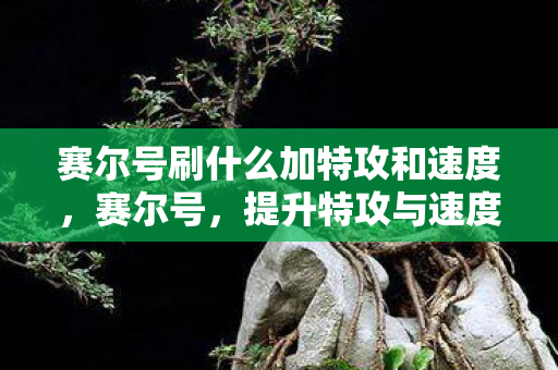 赛尔号刷什么加特攻和速度,赛尔号,提升特攻与速度的三大选择 赛尔号刷什么加特攻和速度,赛尔号,提升特攻与速度的三大选择