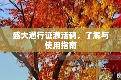 盛大通行证激活码,了解与使用指南 盛大通行证激活码,了解与使用指南