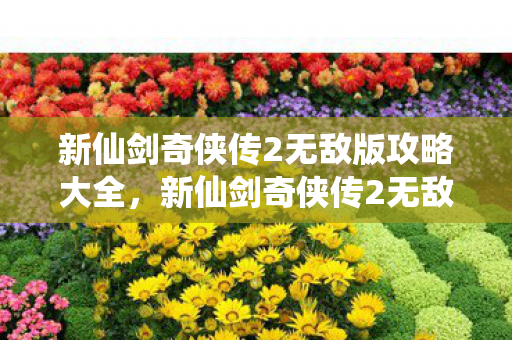 新仙剑奇侠传2无敌版攻略大全，新仙剑奇侠传2无敌版攻略，打造最强角色，征服江湖！