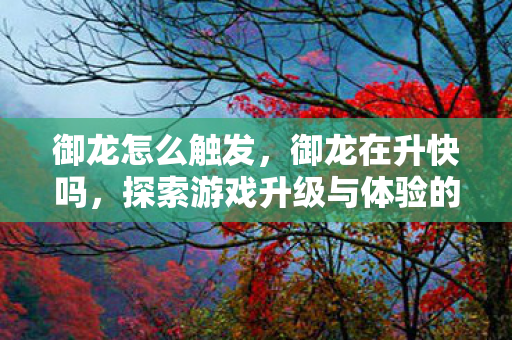 御龙怎么触发，御龙在升快吗，探索游戏升级与体验的深度解析