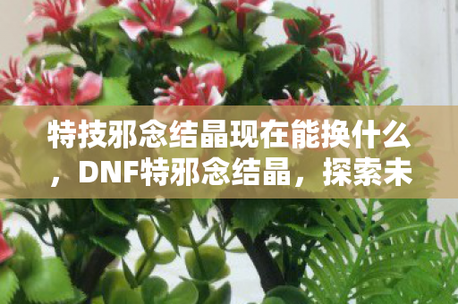 特技邪念结晶现在能换什么,DNF特邪念结晶,探索未知深渊的奇幻之旅 特技邪念结晶现在能换什么,DNF特邪念结晶,探索未知深渊的奇幻之旅