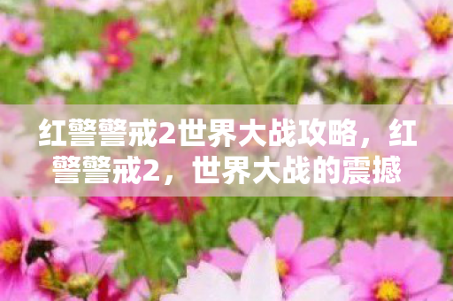 红警警戒2世界大战攻略，红警警戒2，世界大战的震撼与反思