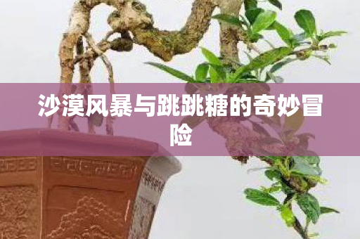 沙漠风暴与跳跳糖的奇妙冒险 沙漠风暴与跳跳糖的奇妙冒险