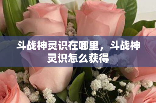 斗战神灵识在哪里,斗战神灵识怎么获得 斗战神灵识在哪里,斗战神灵识怎么获得
