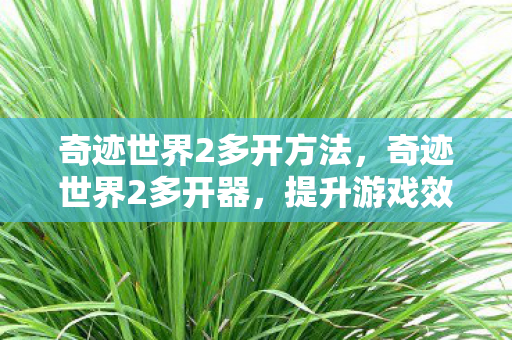 奇迹世界2多开方法，奇迹世界2多开器，提升游戏效率与乐趣的利器
