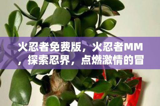 火忍者免费版,火忍者MM,探索忍界,点燃激情的冒险之旅 火忍者免费版,火忍者MM,探索忍界,点燃激情的冒险之旅