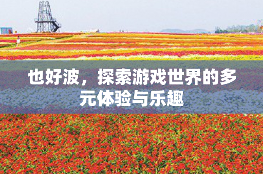 也好波，探索游戏世界的多元体验与乐趣