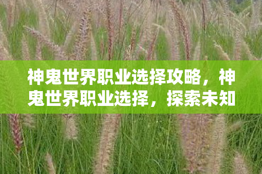 神鬼世界职业选择攻略,神鬼世界职业选择,探索未知,挑战极限 神鬼世界职业选择攻略,神鬼世界职业选择,探索未知,挑战极限
