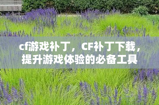 cf游戏补丁,CF补丁下载,提升游戏体验的必备工具 cf游戏补丁,CF补丁下载,提升游戏体验的必备工具