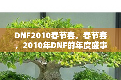 DNF2010春节套,春节套,2010年DNF的年度盛事 DNF2010春节套,春节套,2010年DNF的年度盛事