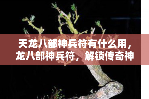天龙八部神兵符有什么用,龙八部神兵符,解锁传奇神兵,探索未知力量 天龙八部神兵符有什么用,龙八部神兵符,解锁传奇神兵,探索未知力量