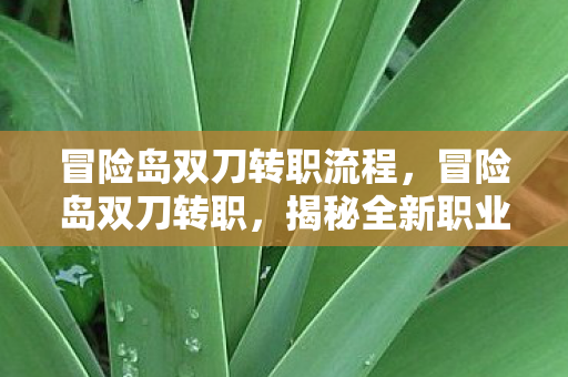 冒险岛双刀转职流程,冒险岛双刀转职,揭秘全新职业转型之路 冒险岛双刀转职流程,冒险岛双刀转职,揭秘全新职业转型之路