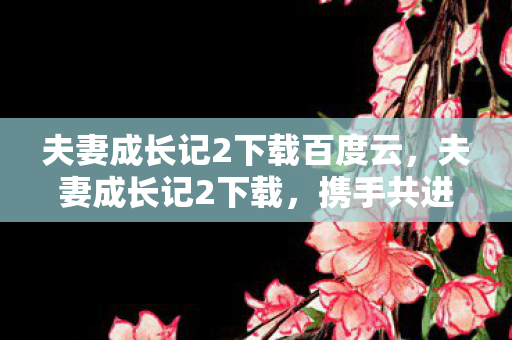夫妻成长记2下载百度云,夫妻成长记2下载,携手共进的数字生活新篇章 夫妻成长记2下载百度云,夫妻成长记2下载,携手共进的数字生活新篇章