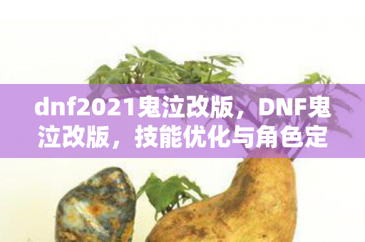 dnf2021鬼泣改版,DNF鬼泣改版,技能优化与角色定位的新探索 dnf2021鬼泣改版,DNF鬼泣改版,技能优化与角色定位的新探索