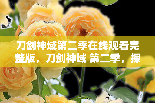 刀剑神域第二季在线观看完整版,刀剑神域 第二季,探索虚拟世界的无限可能 刀剑神域第二季在线观看完整版,刀剑神域 第二季,探索虚拟世界的无限可能
