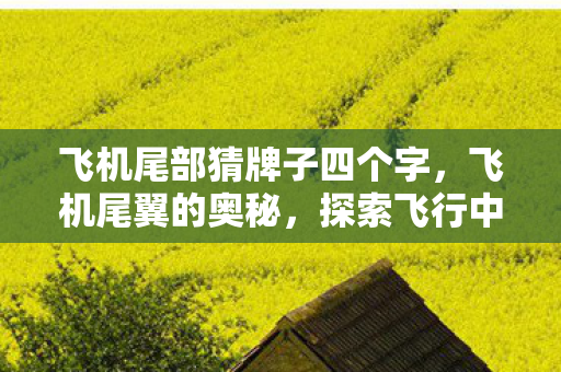 飞机尾部猜牌子四个字,飞机尾翼的奥秘,探索飞行中的艺术 飞机尾部猜牌子四个字,飞机尾翼的奥秘,探索飞行中的艺术