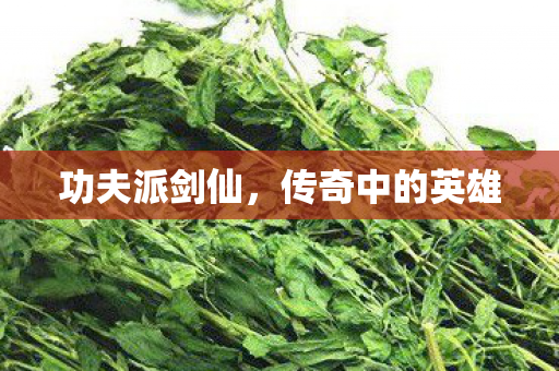 功夫派剑仙,传奇中的英雄 功夫派剑仙,传奇中的英雄
