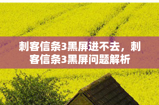 刺客信条3黑屏进不去,刺客信条3黑屏问题解析 刺客信条3黑屏进不去,刺客信条3黑屏问题解析