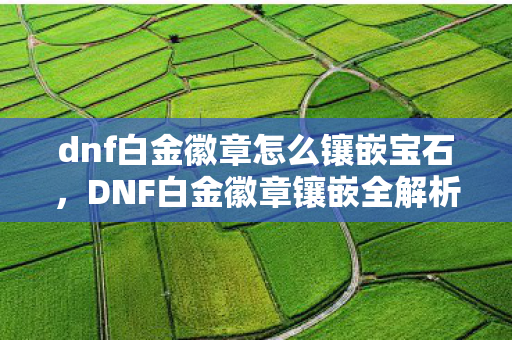 dnf白金徽章怎么镶嵌宝石,DNF白金徽章镶嵌全解析,打造角色巅峰的必备攻略 dnf白金徽章怎么镶嵌宝石,DNF白金徽章镶嵌全解析,打造角色巅峰的必备攻略