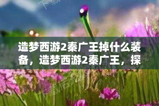 造梦西游2秦广王掉什么装备,造梦西游2秦广王,探索未知世界的奇幻之旅 造梦西游2秦广王掉什么装备,造梦西游2秦广王,探索未知世界的奇幻之旅
