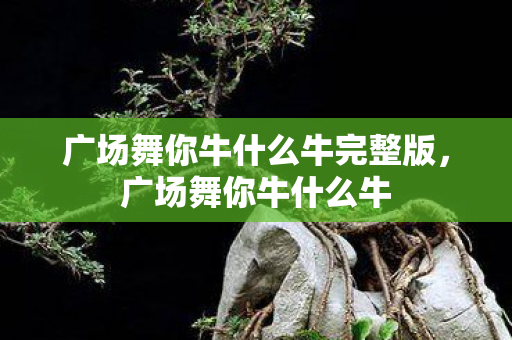 广场舞你牛什么牛完整版,广场舞你牛什么牛 广场舞你牛什么牛完整版,广场舞你牛什么牛