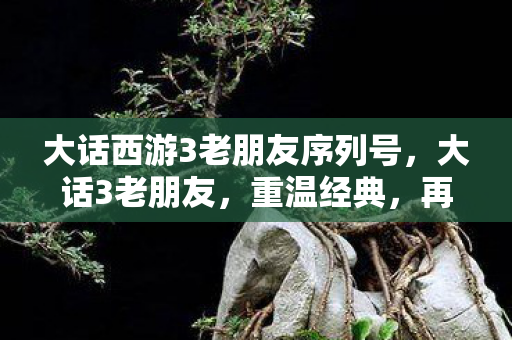 大话西游3老朋友序列号，大话3老朋友，重温经典，再续前缘