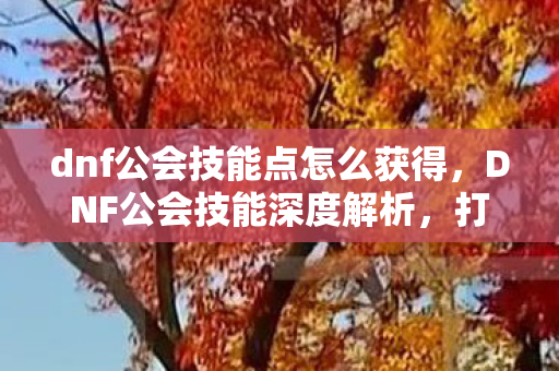 dnf公会技能点怎么获得,DNF公会技能深度解析,打造最强战斗团队 dnf公会技能点怎么获得,DNF公会技能深度解析,打造最强战斗团队