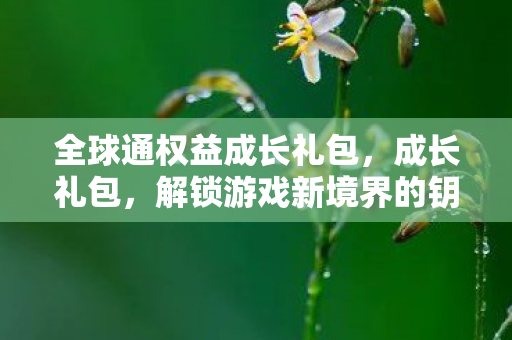 全球通权益成长礼包，成长礼包，解锁游戏新境界的钥匙